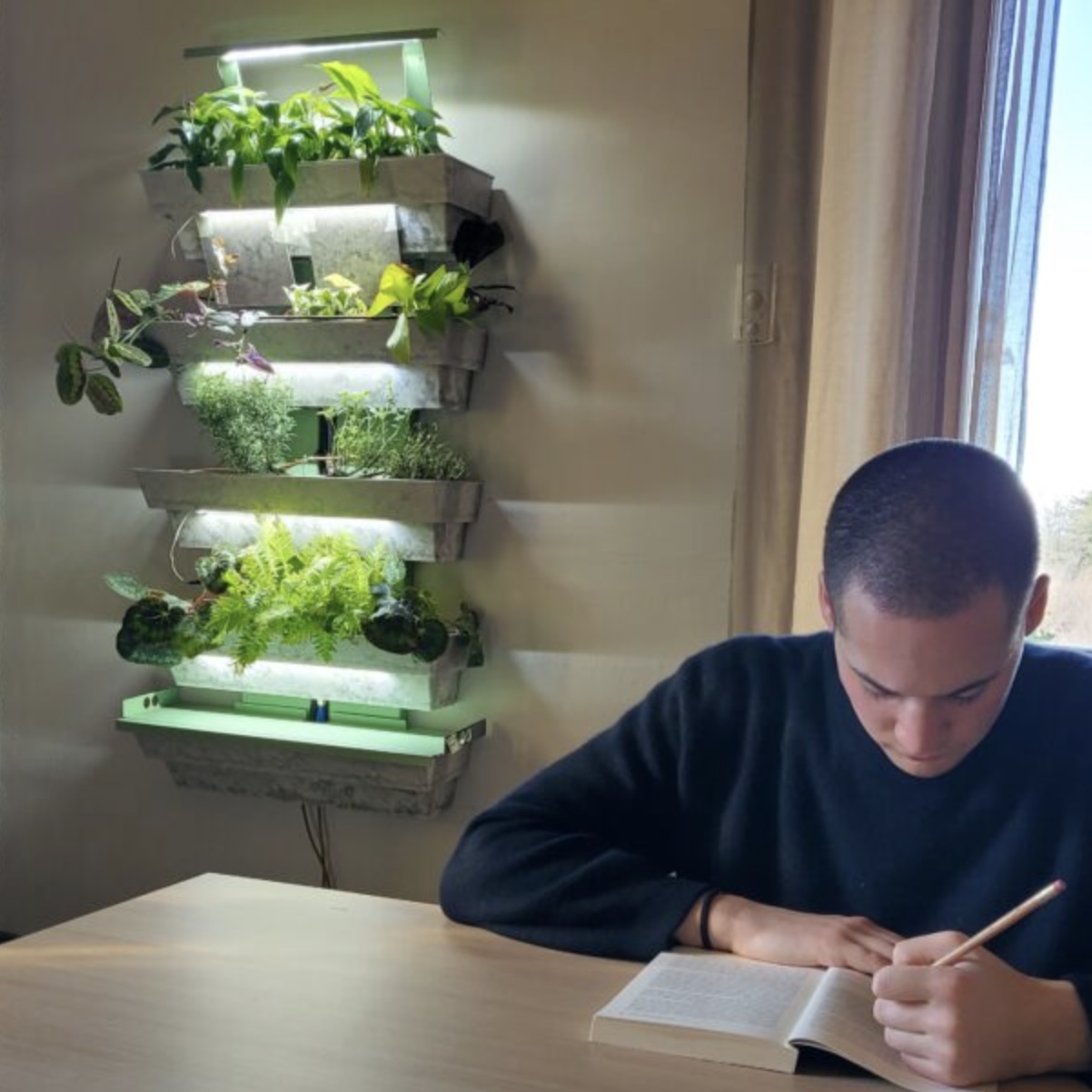 Hedera design nei nostri uffici